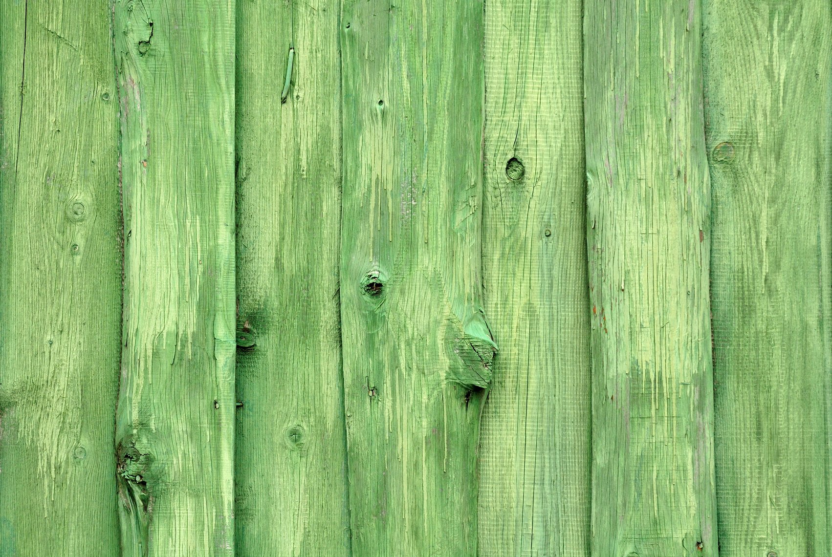 Green Wood Background