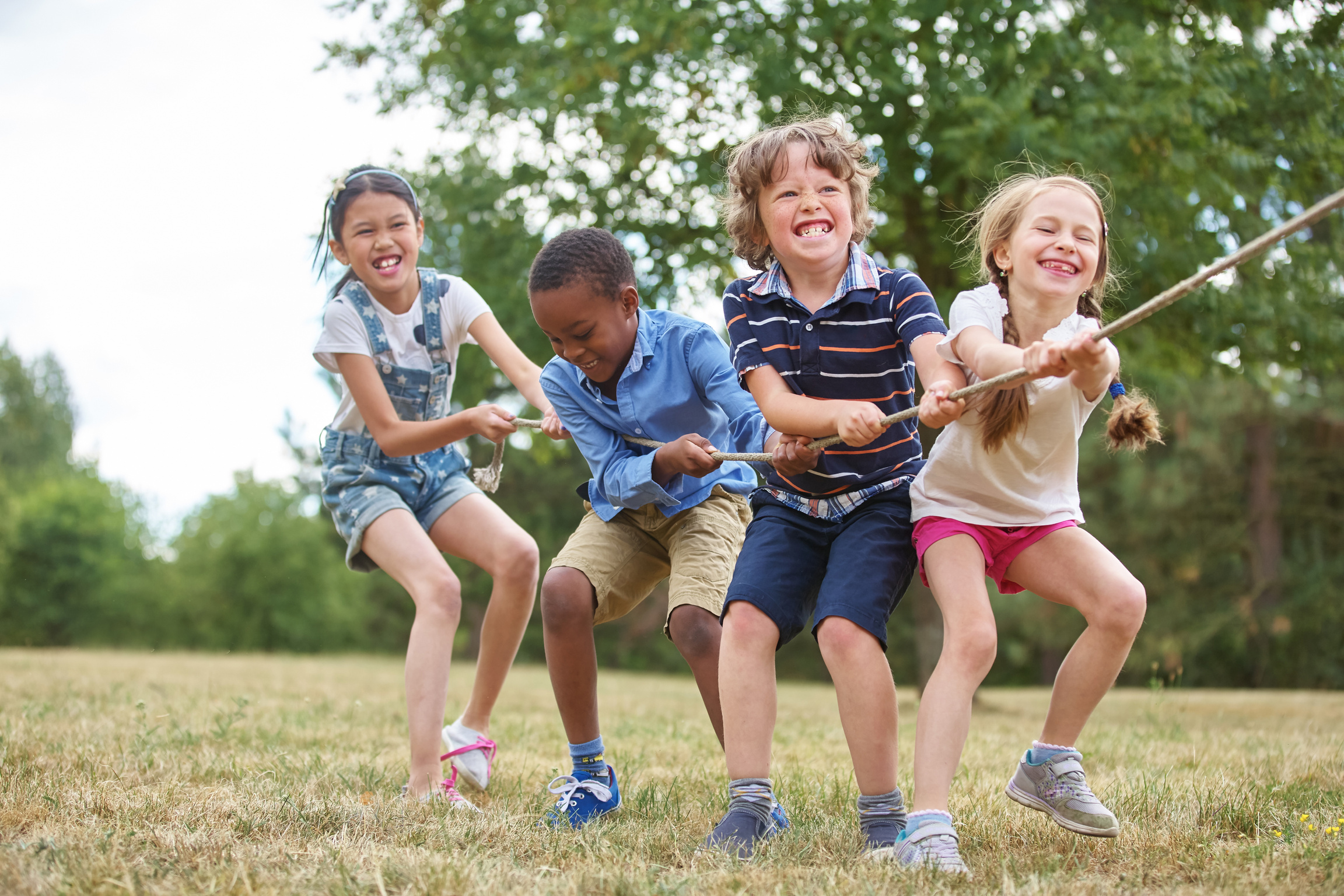 Kids Playing at the Park